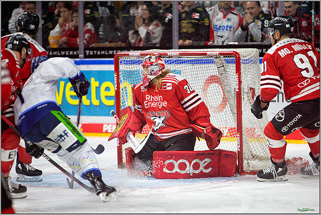 PENNY DEL; Koelner Haie- Straubing Tigers; Koeln, 28.12.2022